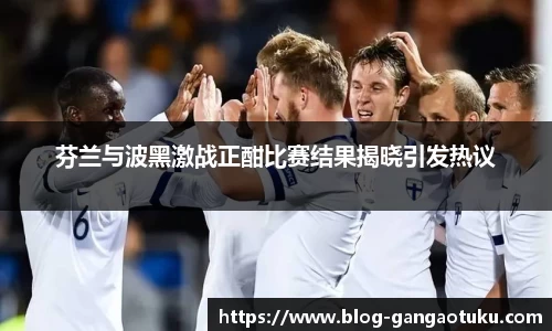 芬兰与波黑激战正酣比赛结果揭晓引发热议