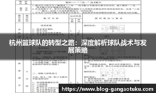 杭州篮球队的转型之路：深度解析球队战术与发展策略